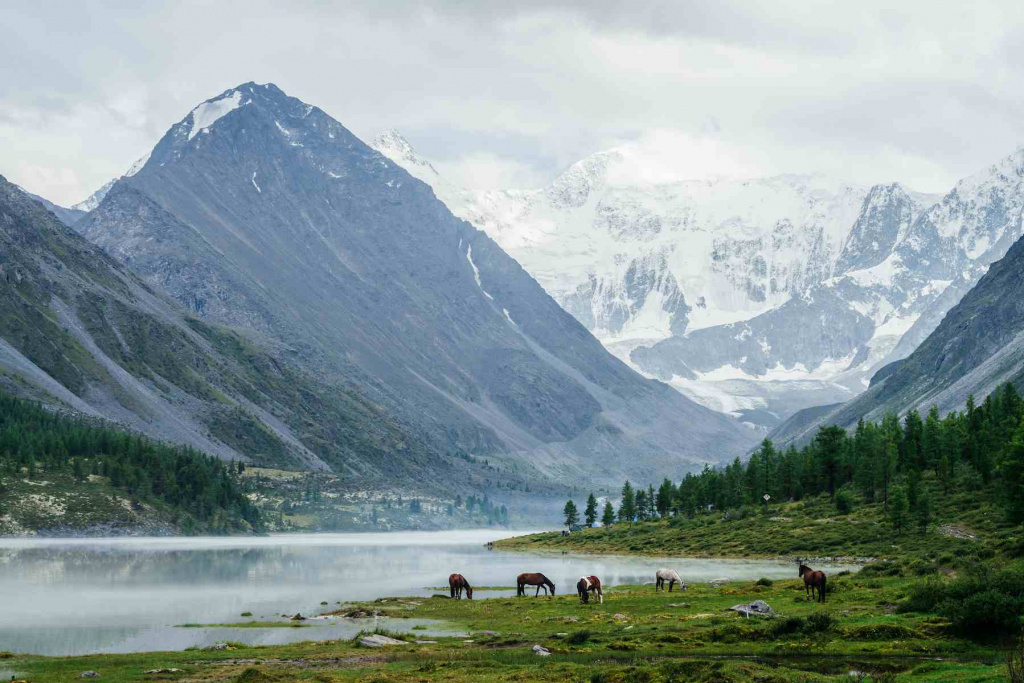 horses-graze-near-misty-alpine-lake-great-glaciers-awesome-view-high-snowy-mountains-rocks-atmospheric-highland-scenery-with-tourist-camp-near-beautiful-mountain-lake-mist (1).jpg